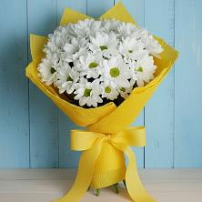 Букет цветов из:  Хризантемы в Александровской Кадардино-Балкарской Республики