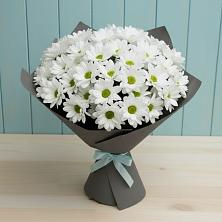 Букет цветов из:  Хризантемы в Александровской Кадардино-Балкарской Республики