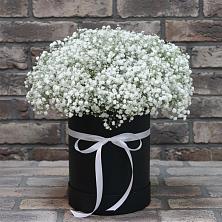 Цветочная композиция из Гипсофила в шляпной коробке в Александровской Кадардино-Балкарской Республики