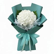 Букет цветов из:  Гортензия в Александровской Кадардино-Балкарской Республики